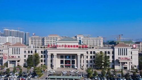 高校医疗新布局 广东医科大学附属东莞松山湖中心医院与广西医科大整形医院的区域健康新篇章